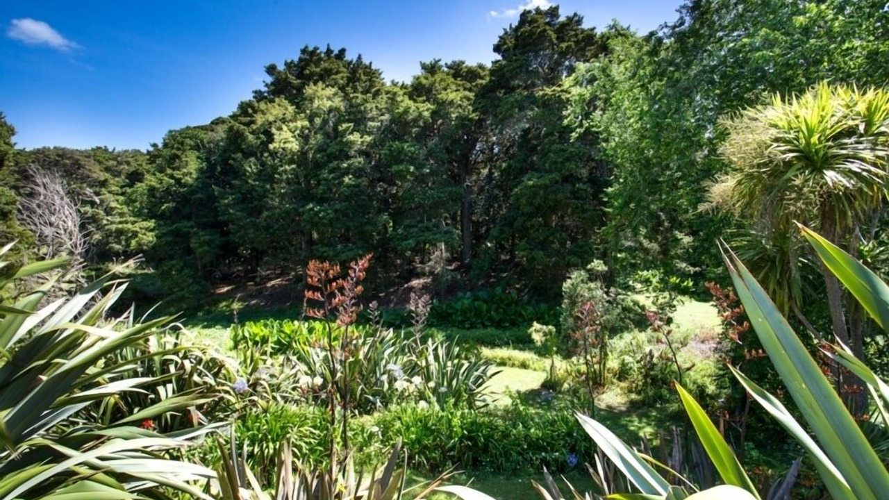 Photo of Others in Matakana