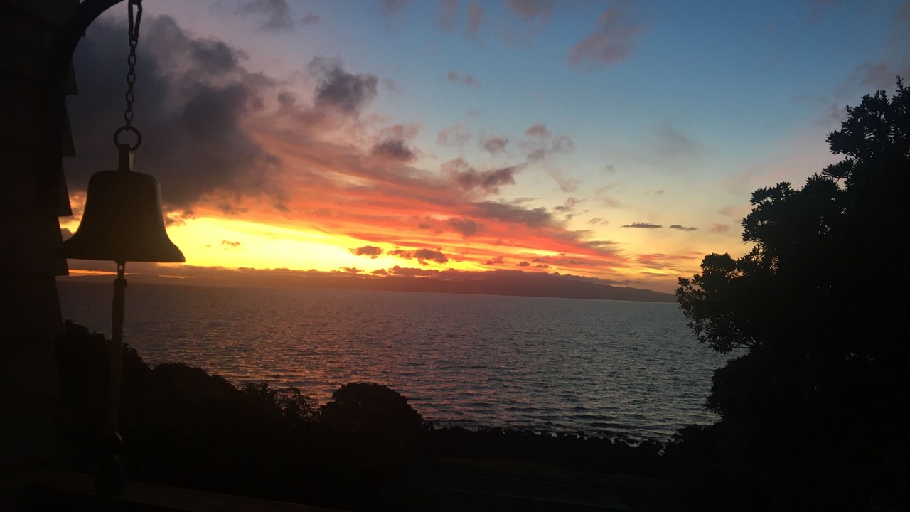 Photo of Others in Waiomu