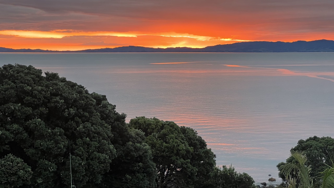 Photo of Others in Waiomu