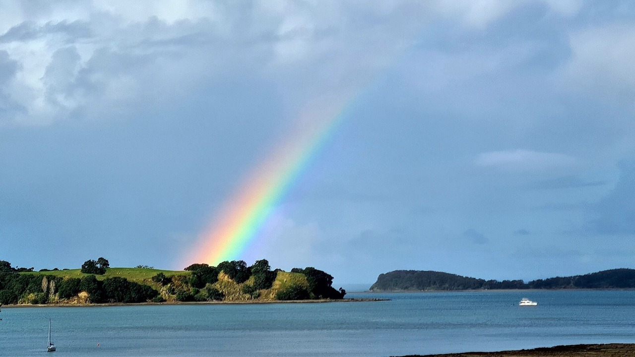 Photo of Others in Mahurangi West