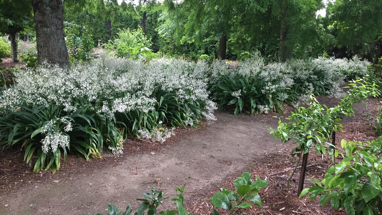 Photo of Outdoor in Motueka