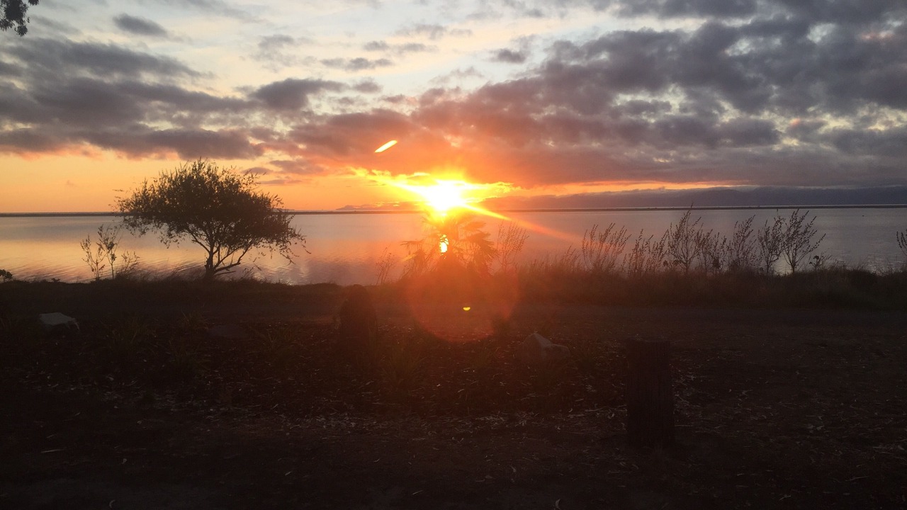 Photo of Others in Motueka