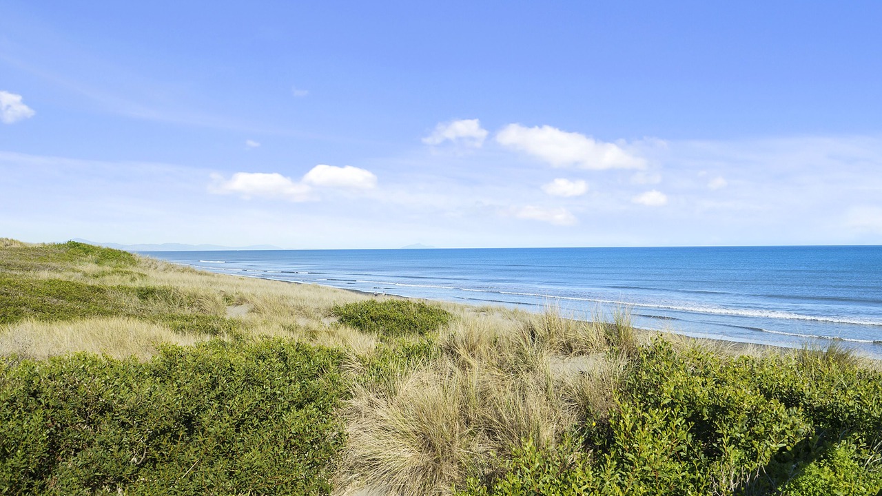 Photo of Others in Himatangi Beach