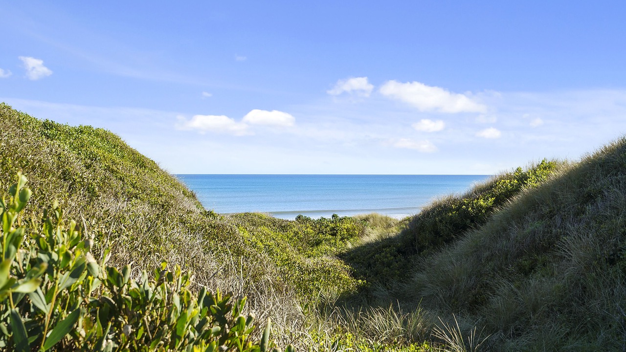 Photo of Others in Himatangi Beach