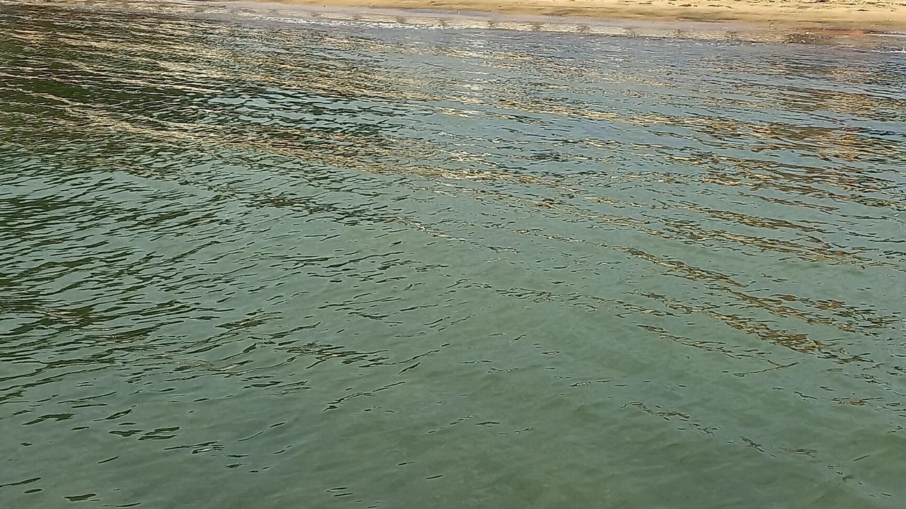 Photo of Others in Big Bay