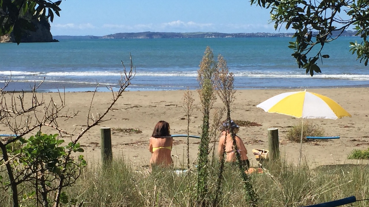 Photo of Others in Warkworth