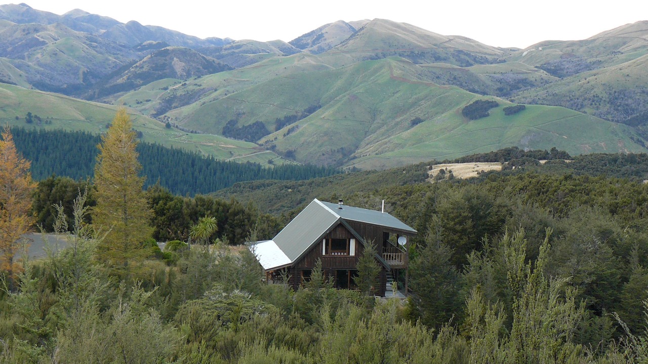 Photo of Others in Mt Lyford