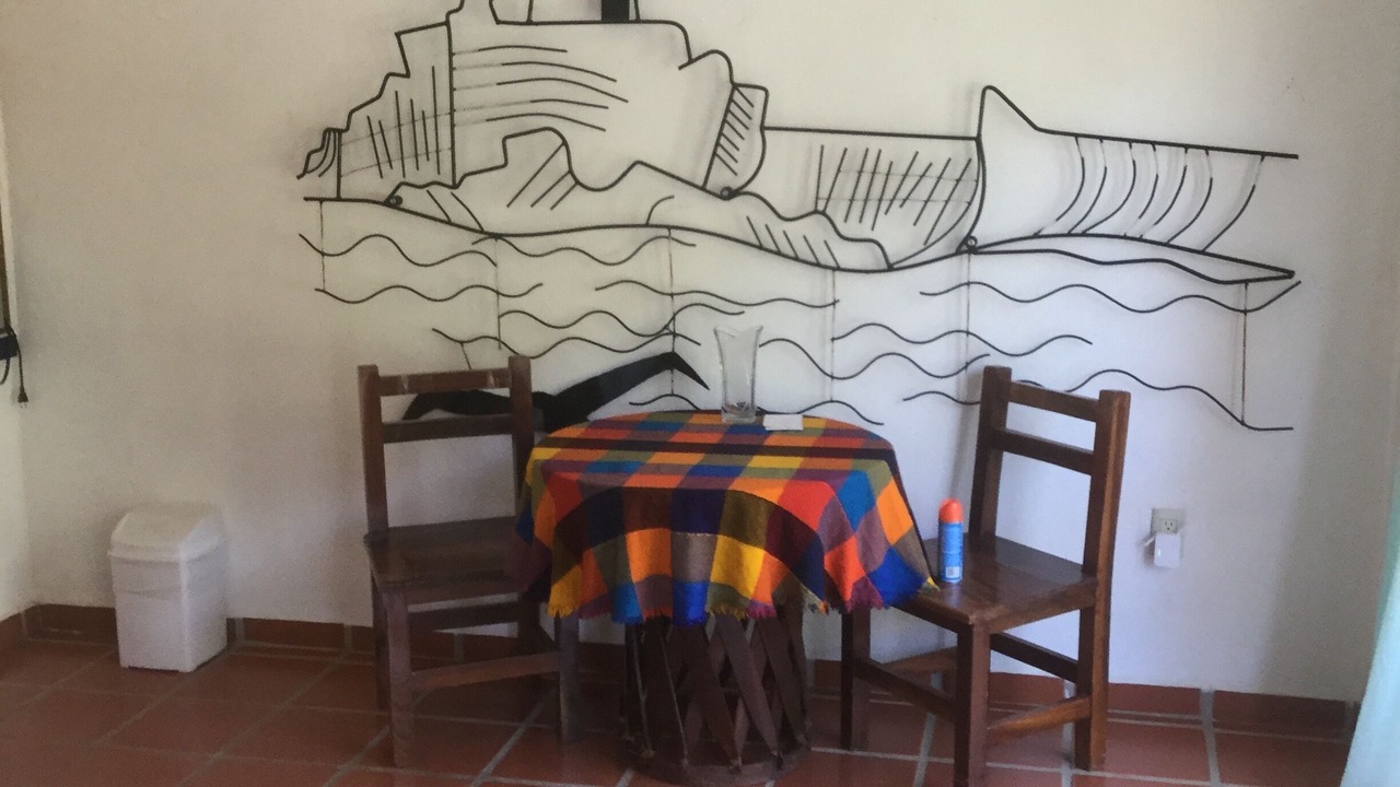 Photo of Others in Boca de Tomatlan