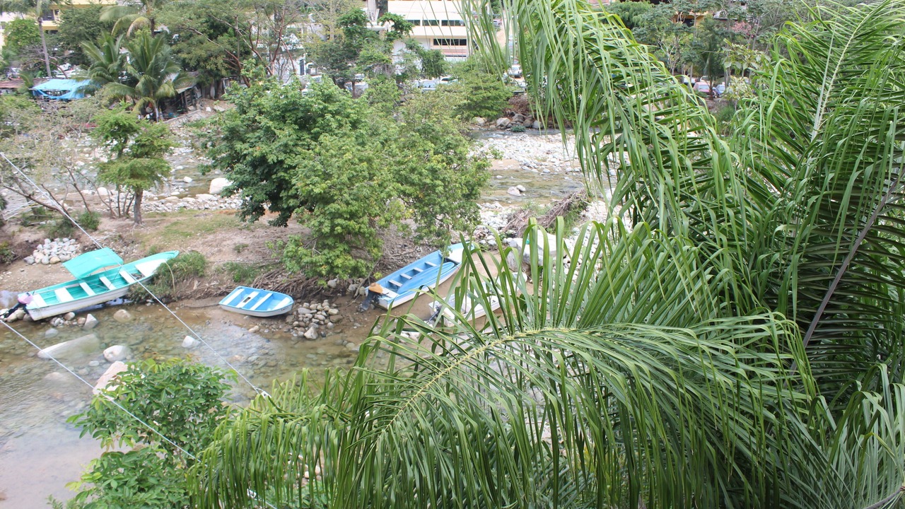 Photo of Outdoor in Boca de Tomatlan
