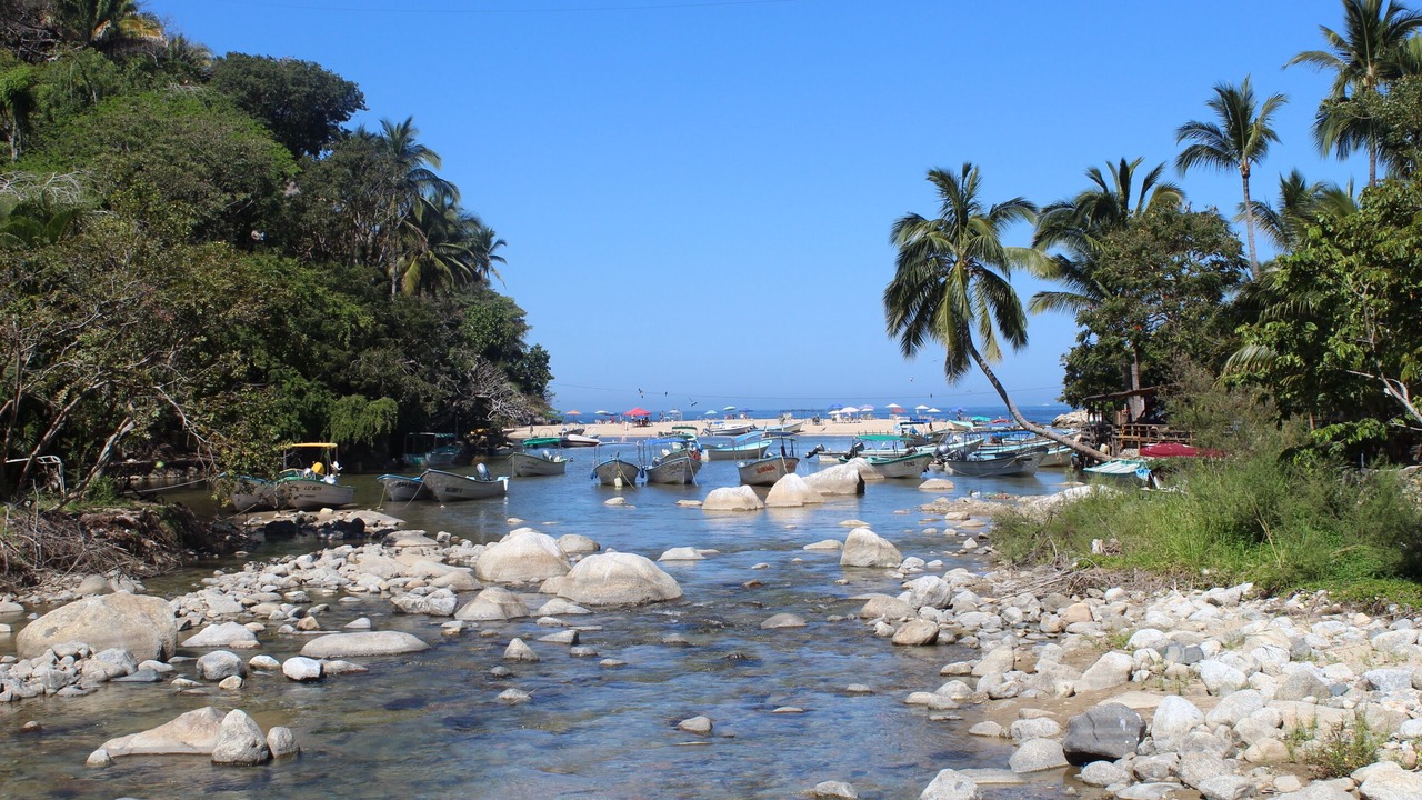 Photo of Others in Boca de Tomatlan