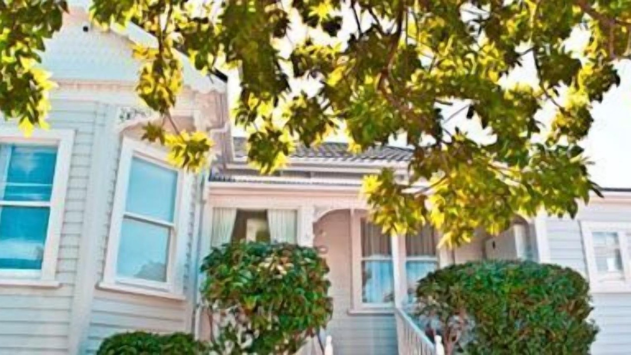 Photo of Outdoor in Mount Eden