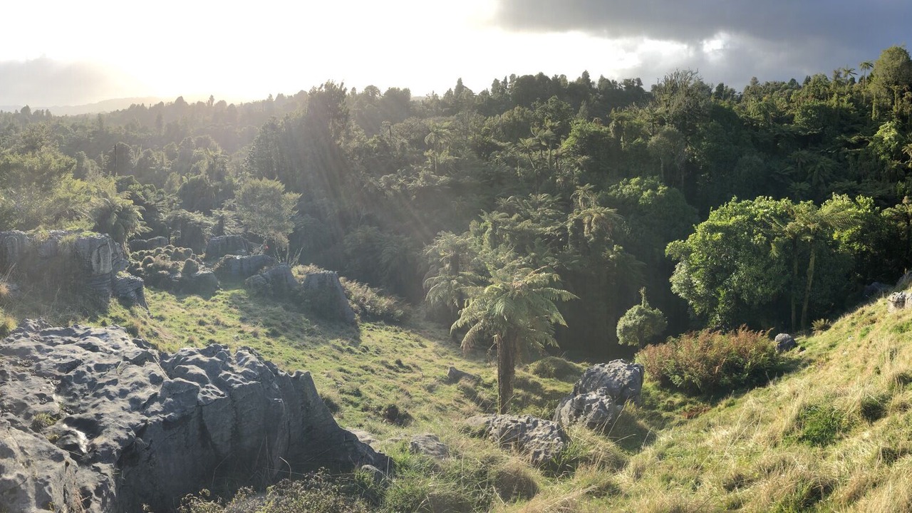 Photo of Others in Waitomo Caves