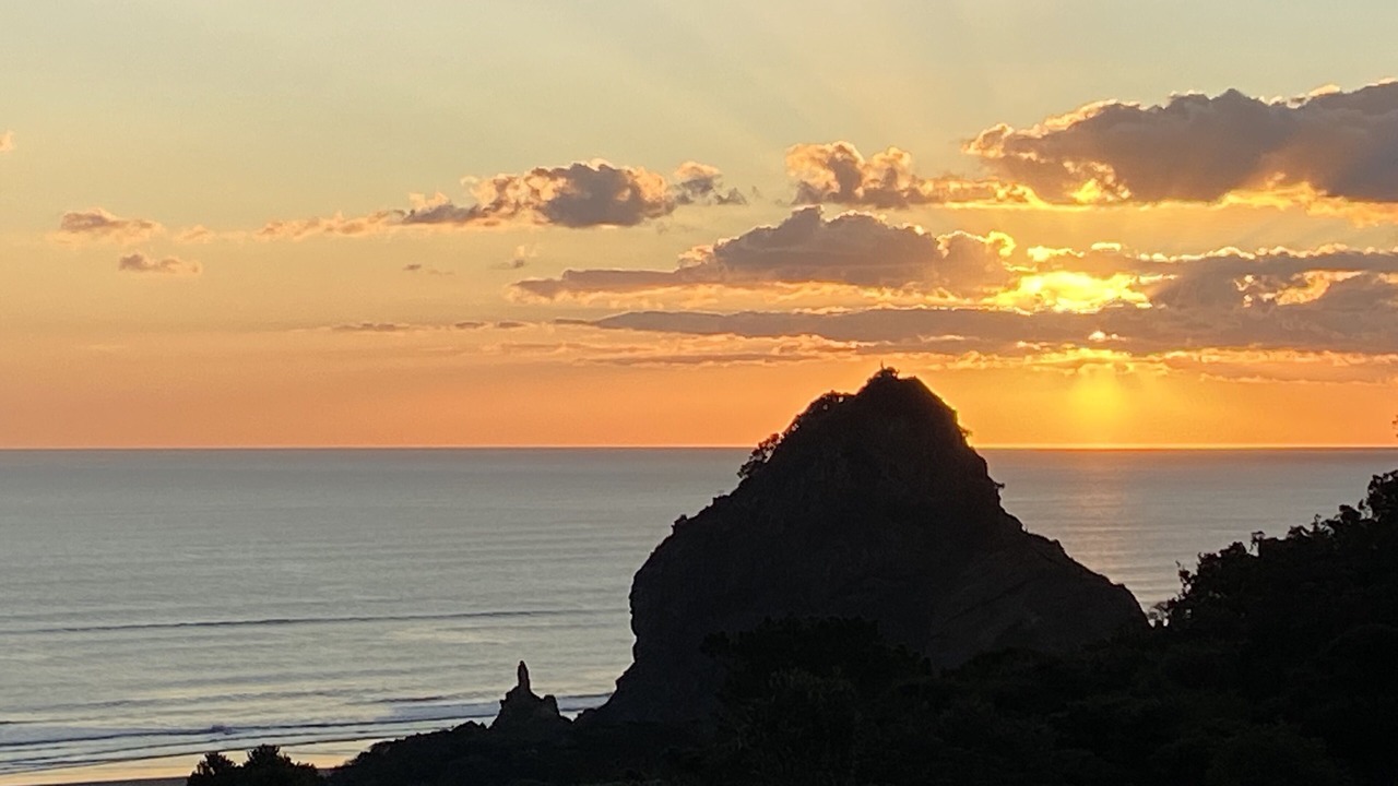 Photo of Others in Piha