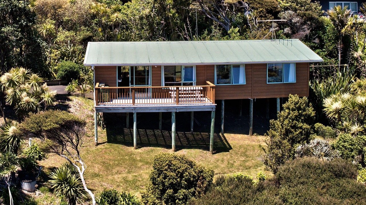 Photo of Outdoor in Piha