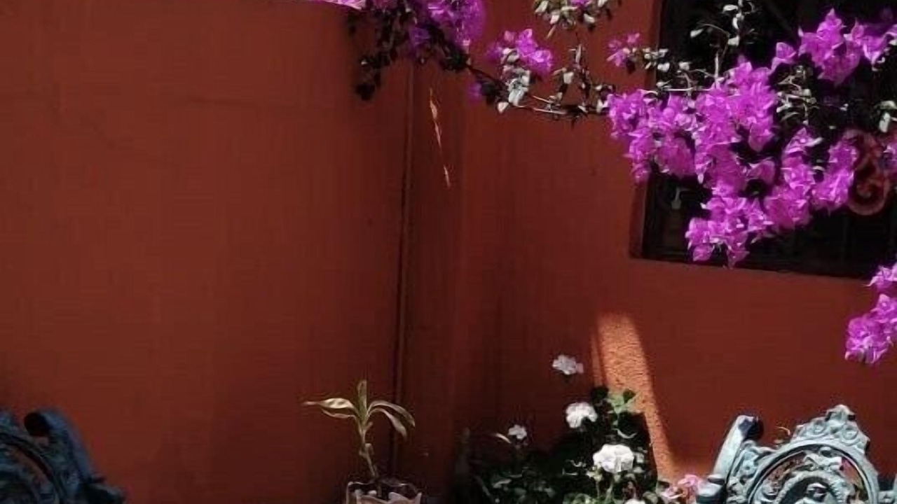 Photo of Patio Balcony in La Capilla