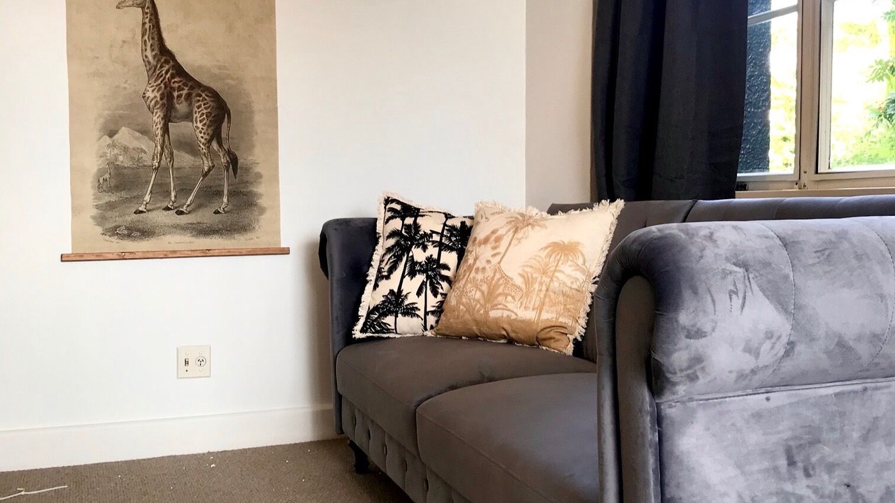 Photo of Livingroom in Dunedin