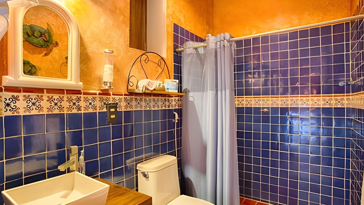 Photo of Bathroom in Mascota