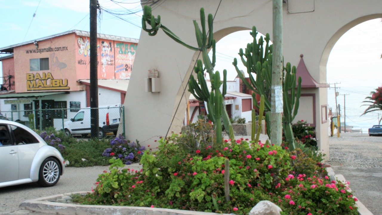 Photo of Outdoor in La Joya