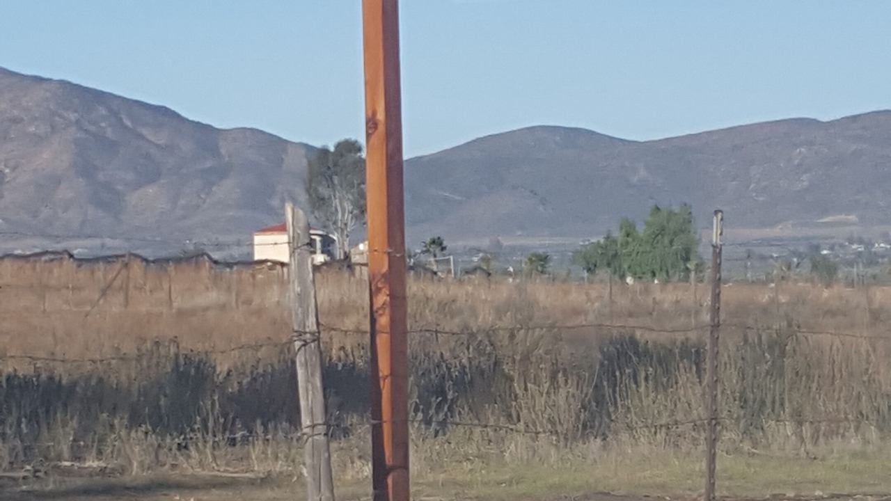 Photo of Others in Valle de Guadalupe