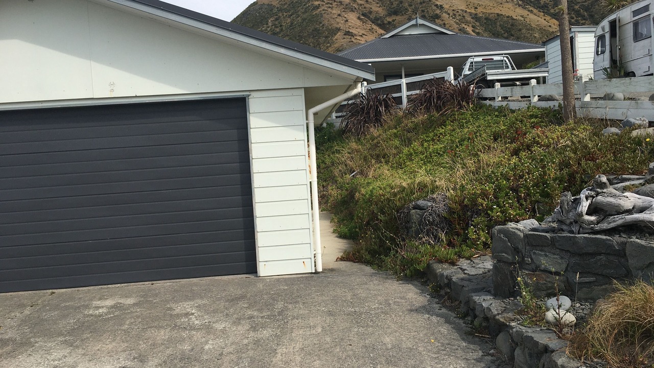 Photo of Others in Cape Palliser