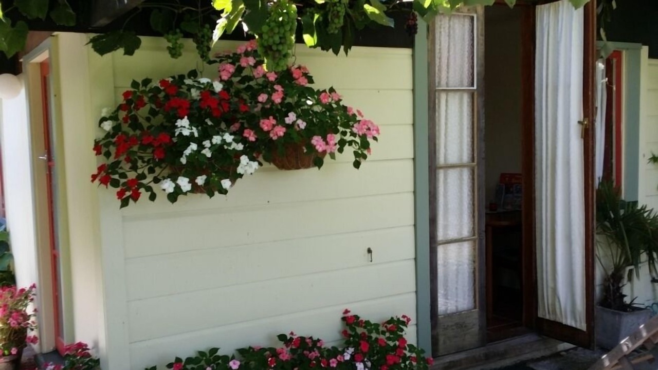 Photo of Outdoor in Hastings
