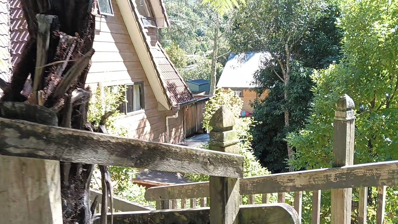 Photo of Outdoor in Lake Okareka