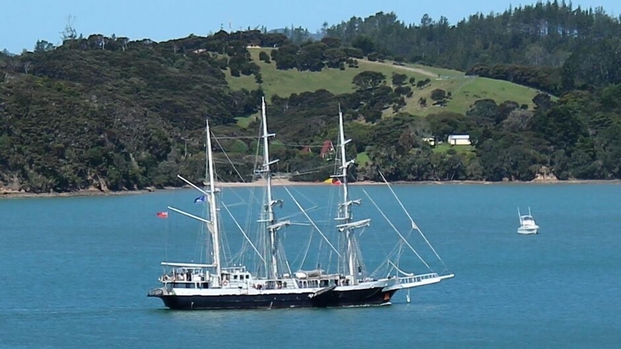 Photo of Others in Paihia
