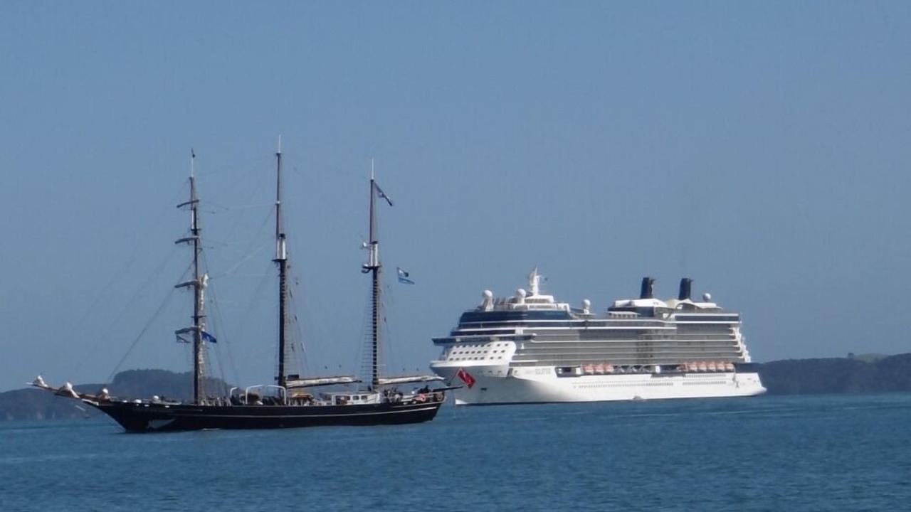 Photo of Others in Paihia
