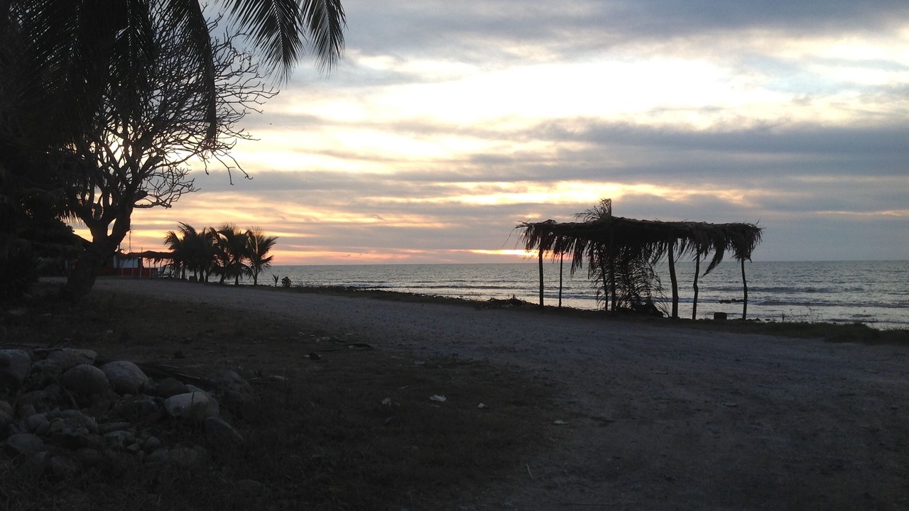 Photo of Others in Puerto Vallarta