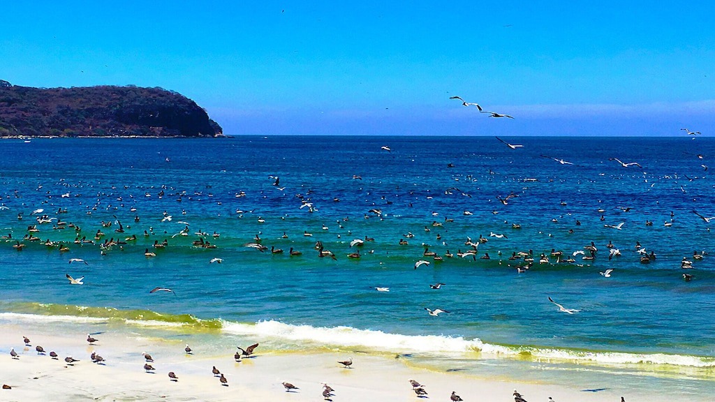 Photo of Others in Punta Negra