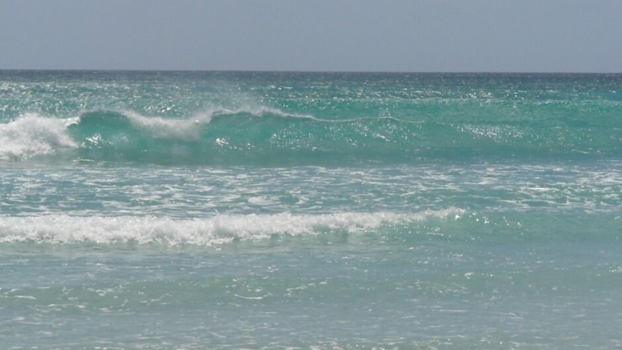 Photo of Others in Houhora