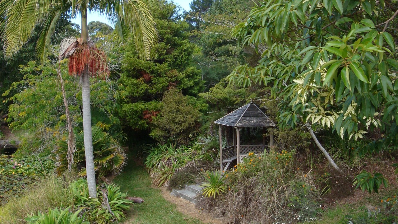 Photo of Outdoor in Houhora
