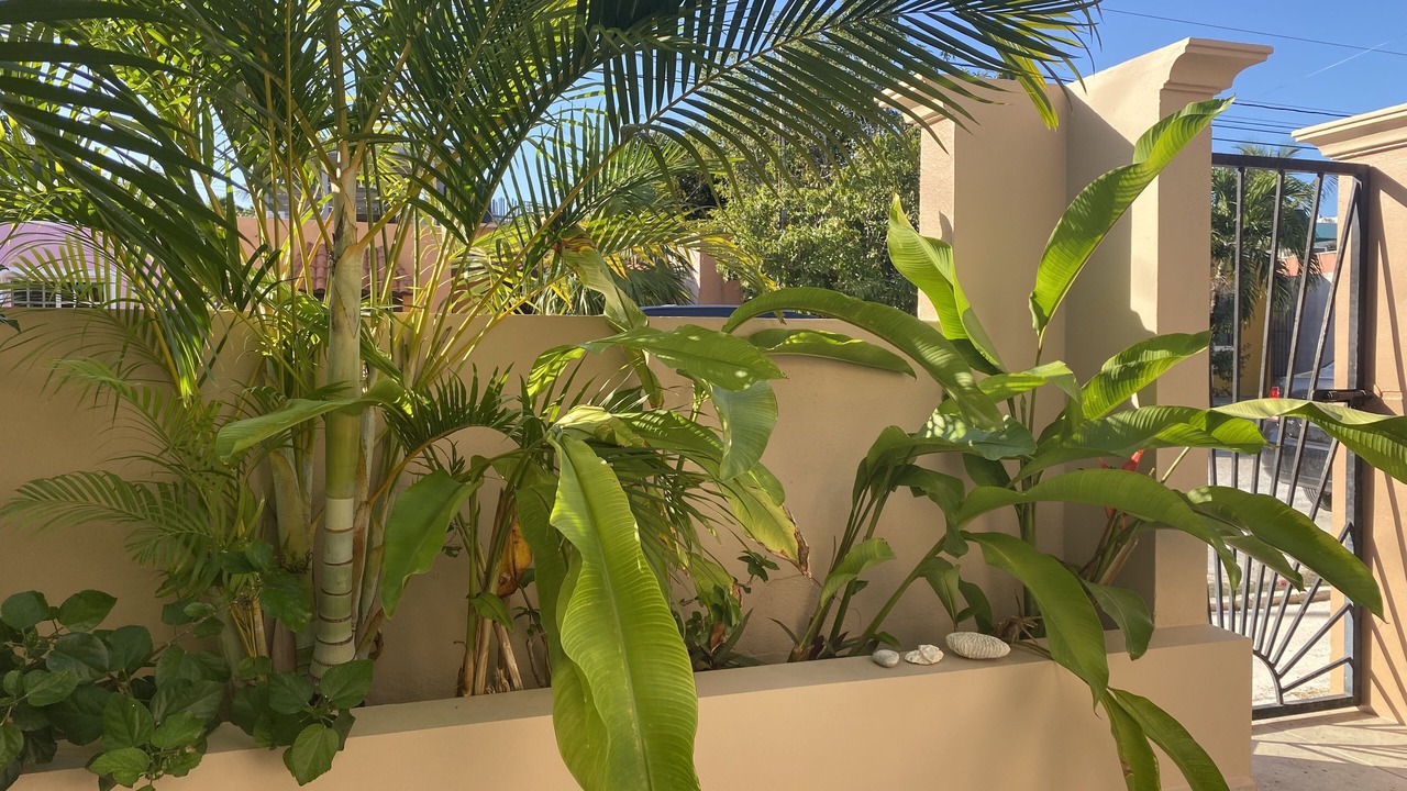 Photo of Outdoor in Chan Chemuyil