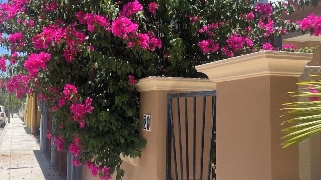 Photo of Outdoor in Chan Chemuyil