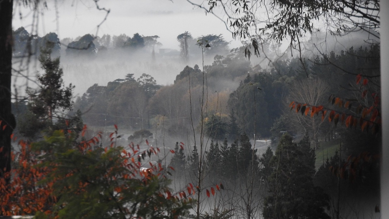 Photo of Others in Waipawa