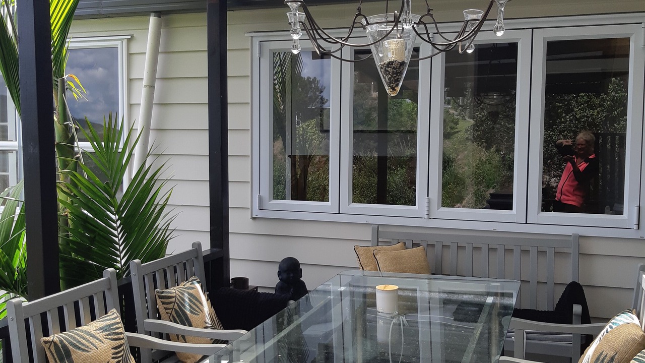 Photo of Outdoor in Whangaroa