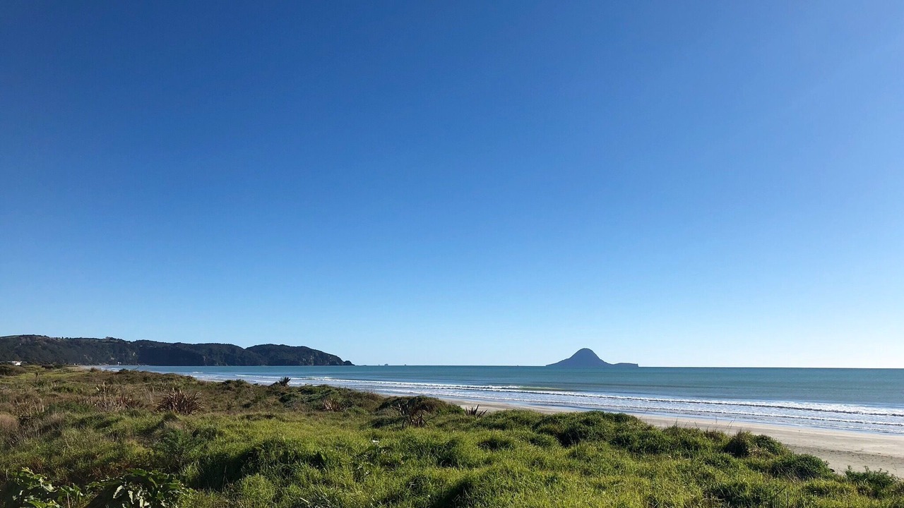 Photo of Others in Ohope