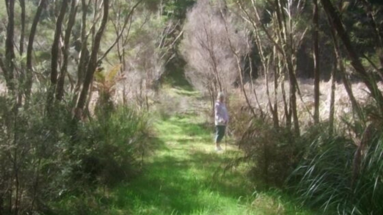 Photo of Others in Okiato