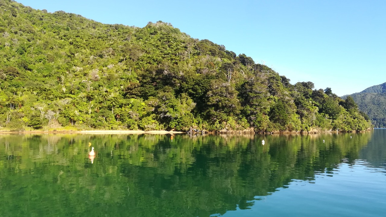 Photo of Outdoor in Ngakuta Bay