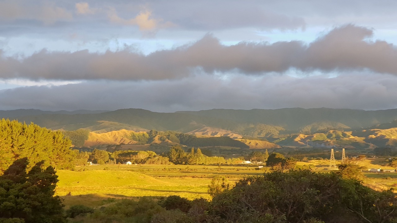 Photo of Others in Otaki Beach