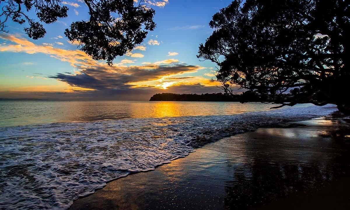 Photo of Others in Stanmore Bay