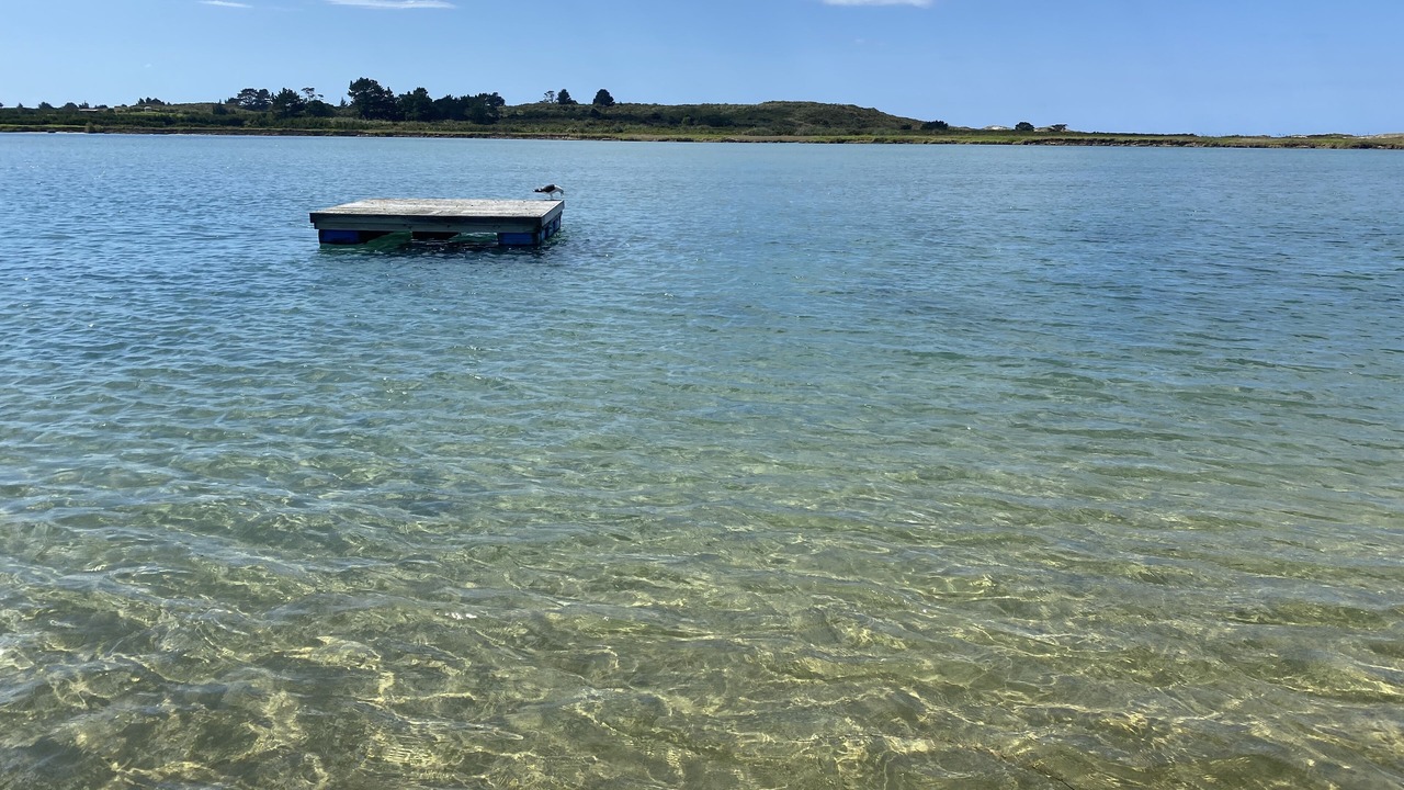Photo of Others in Waipu