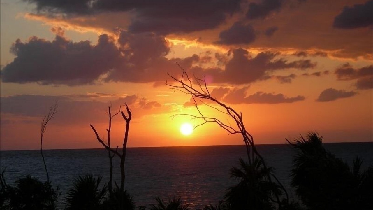 Photo of Others in Costa Maya