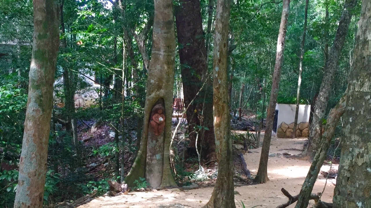 Photo of Others in Tulum