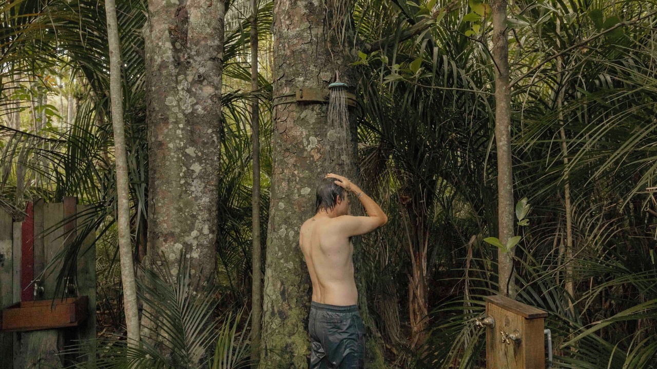 Photo of Others in Matakana