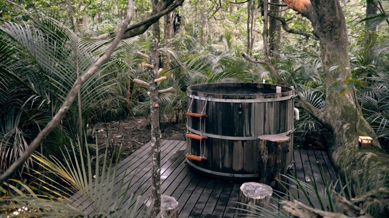 Photo of Others in Matakana