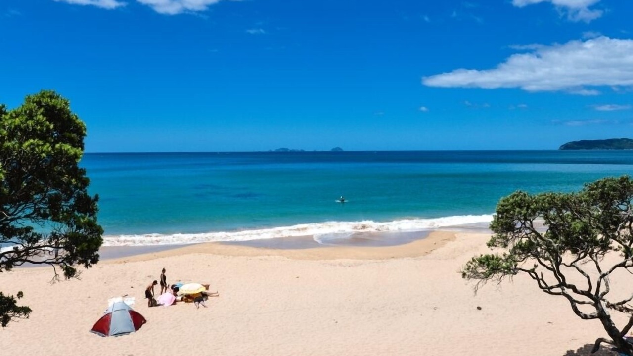 Photo of Others in Tairua
