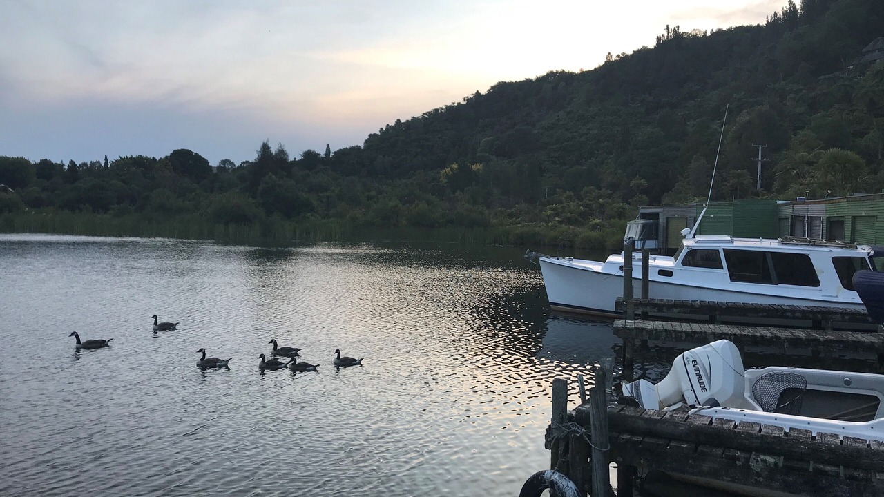 Photo of Outdoor in Lake Tarawera