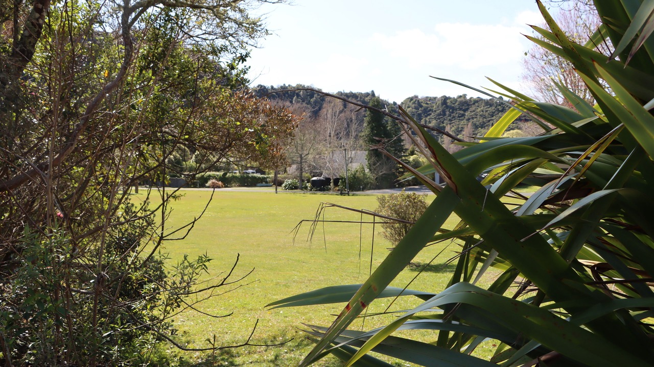 Photo of Others in Lake Tarawera
