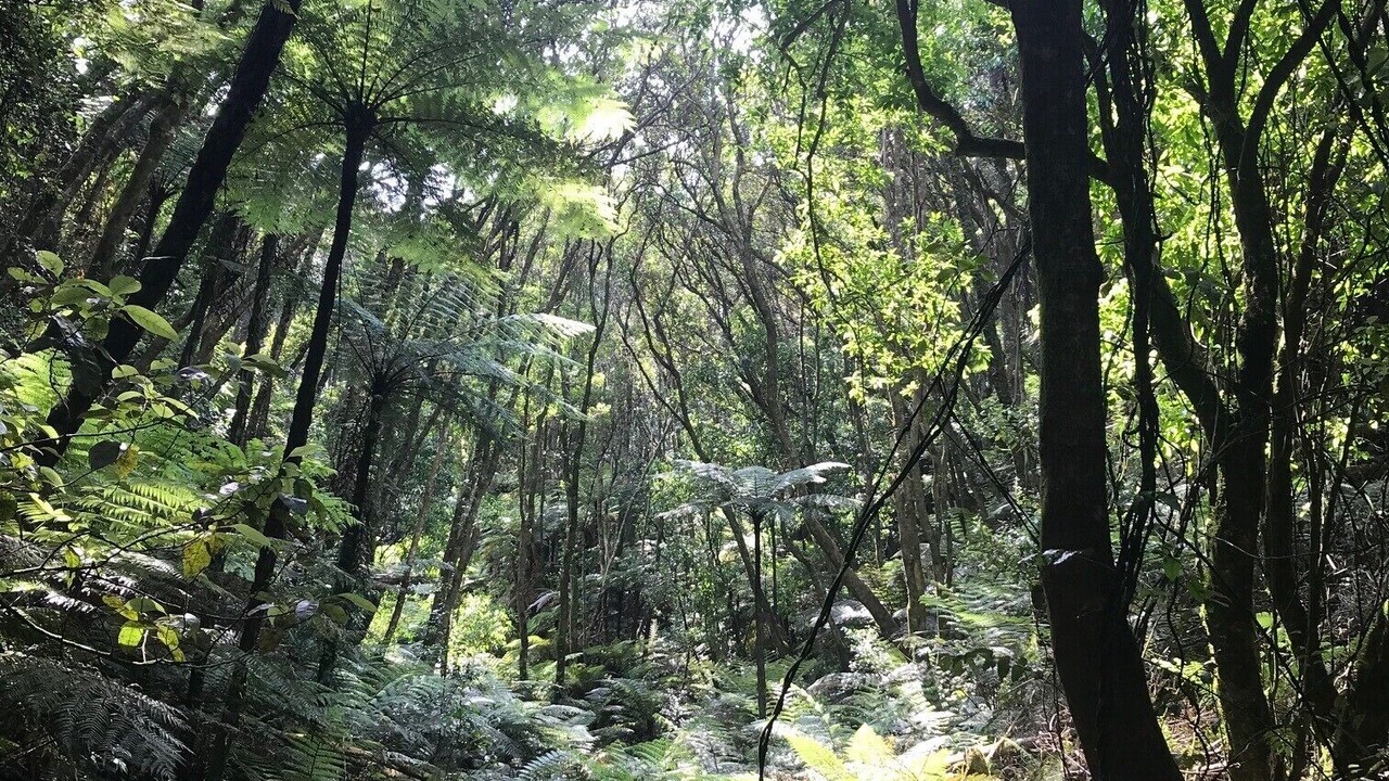 Photo of Outdoor in Lake Tarawera